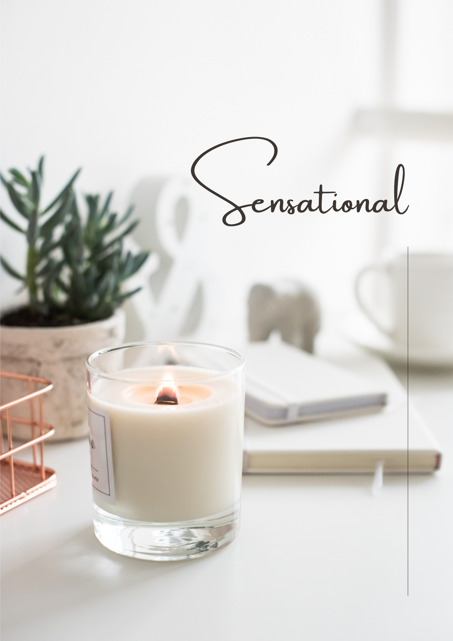SENSUAL CANDLE COLLECTION (18+)